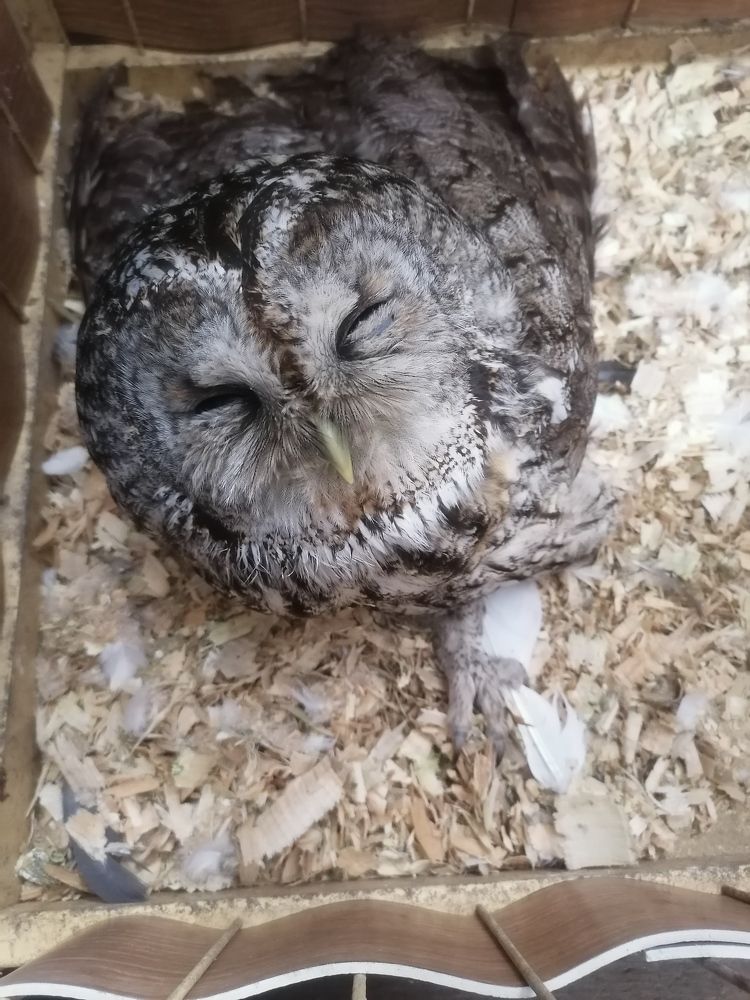 Фотография автора Виталий Дузь