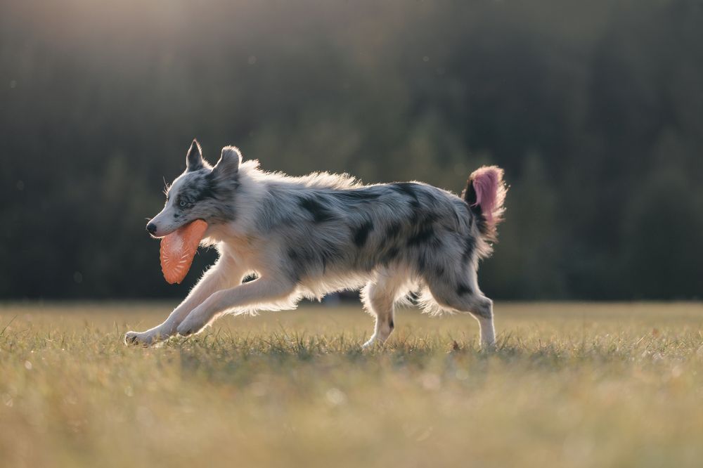 Photograph by Анастасия Жучкова