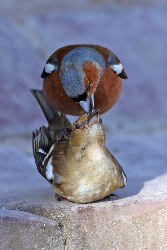 Photograph by Бибичков Михаил