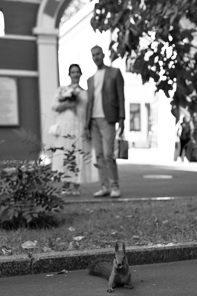 Свидетель Белочка