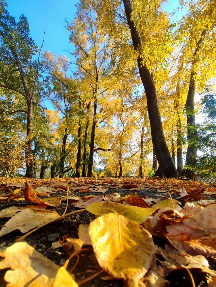 Photograph by Юлия Гинтер