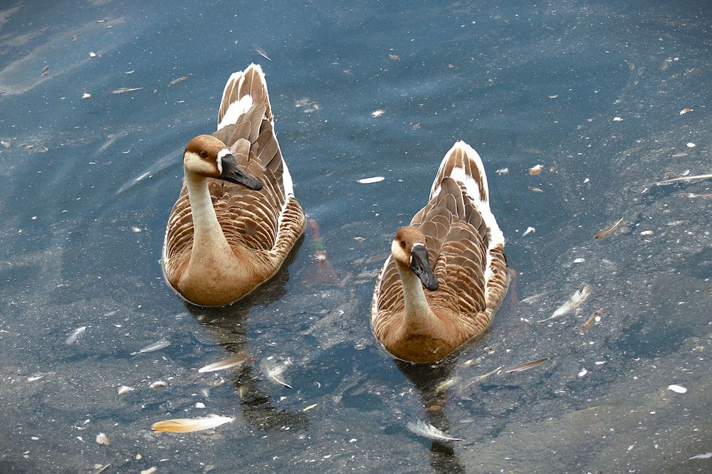 Photograph by Гагик Саркисян