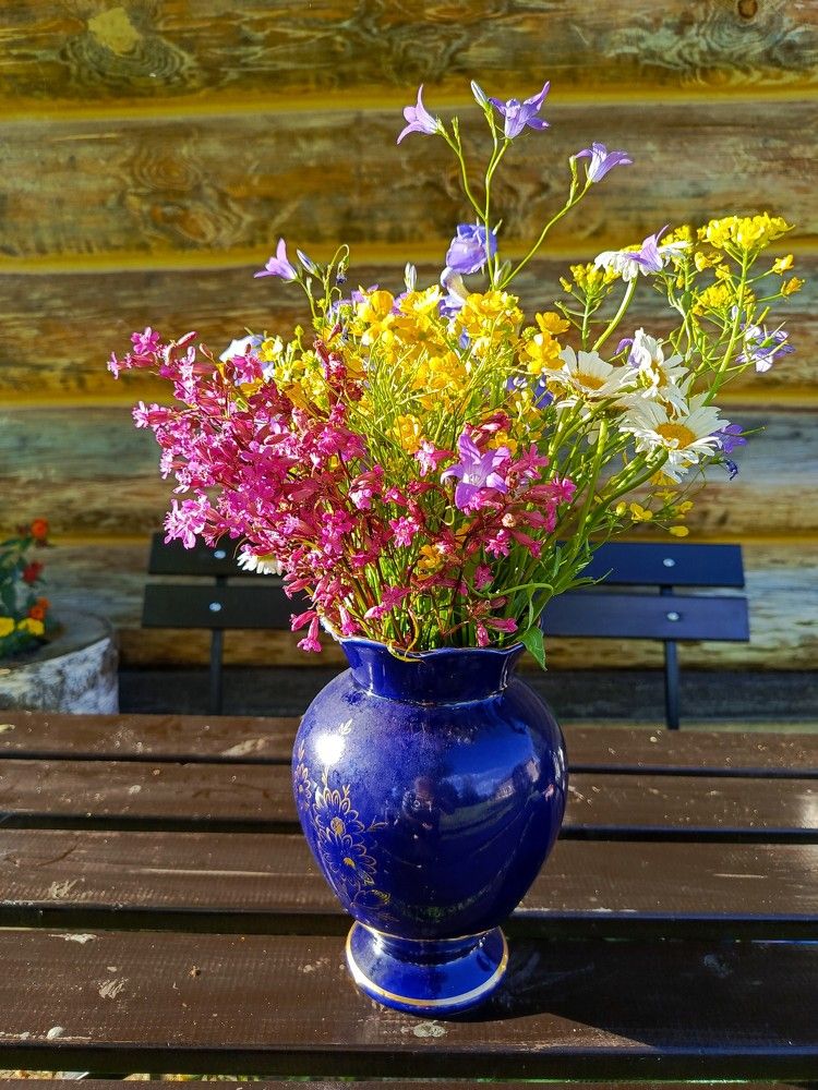 Photograph by Анна