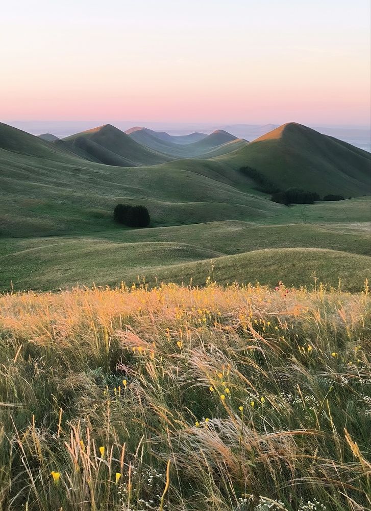 Photograph by Максим Ватрушкин
