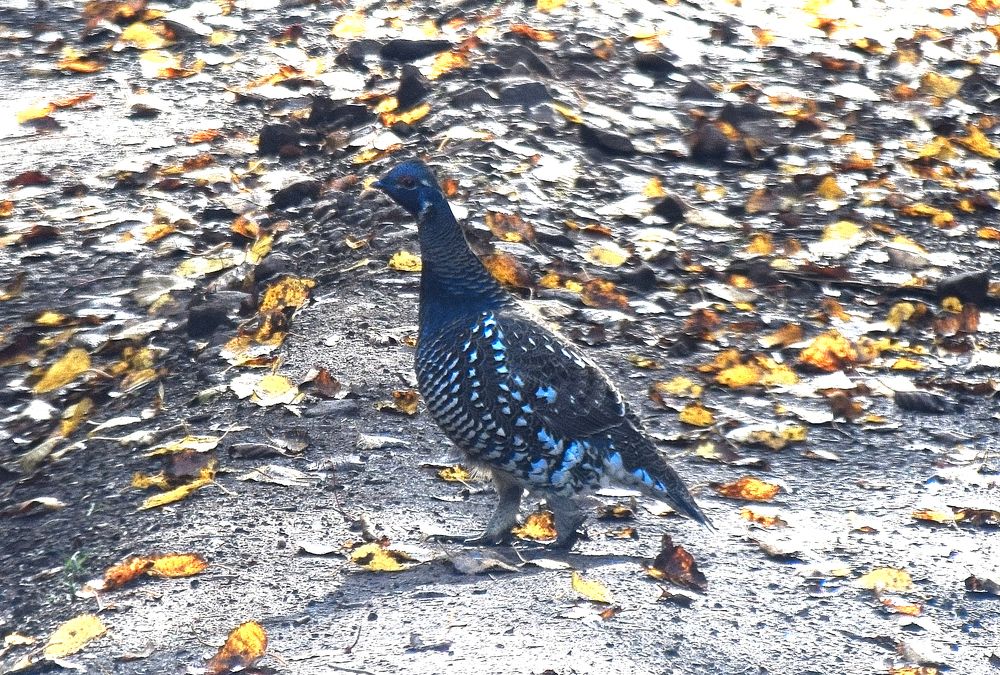 Photograph by Роман Блинов