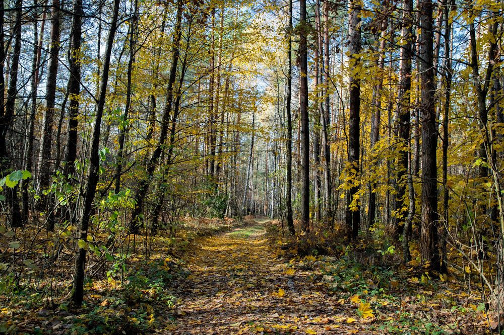 Photograph by Анна Евдокименко