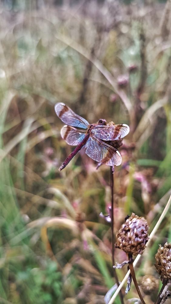 Photograph by Мария Иванова