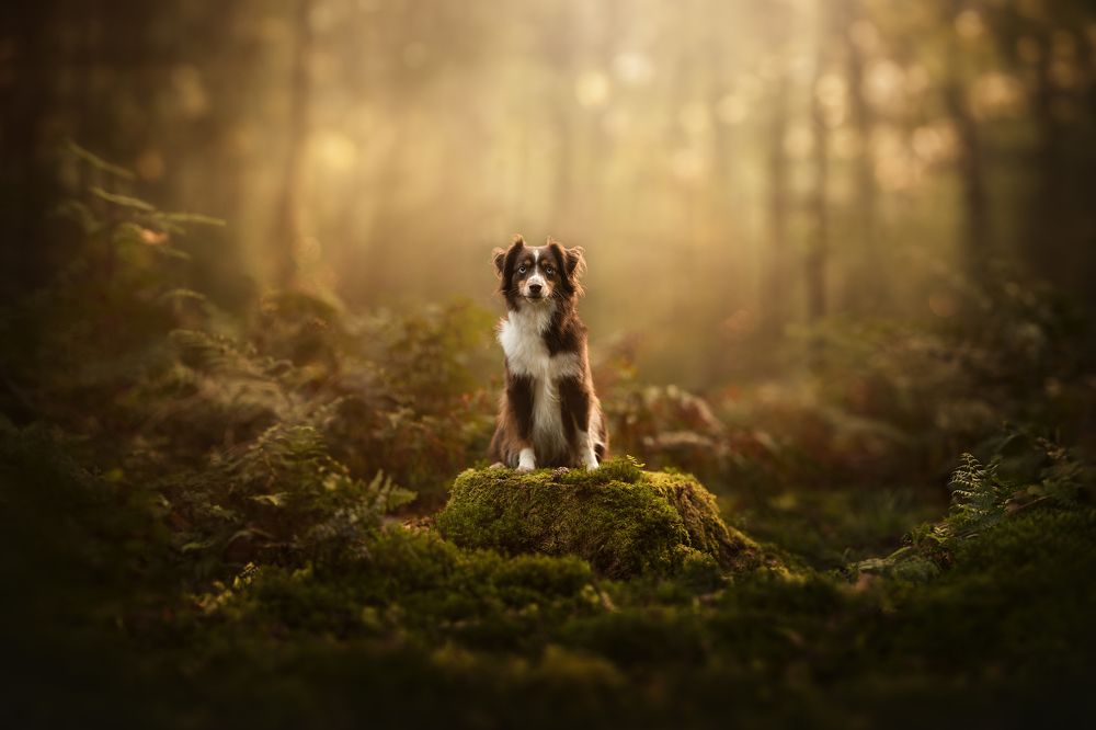 Photograph by Fleur Scholte