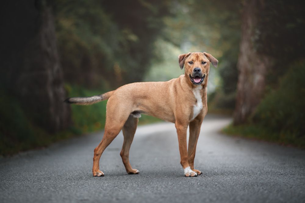 Фотография автора lucia saiz