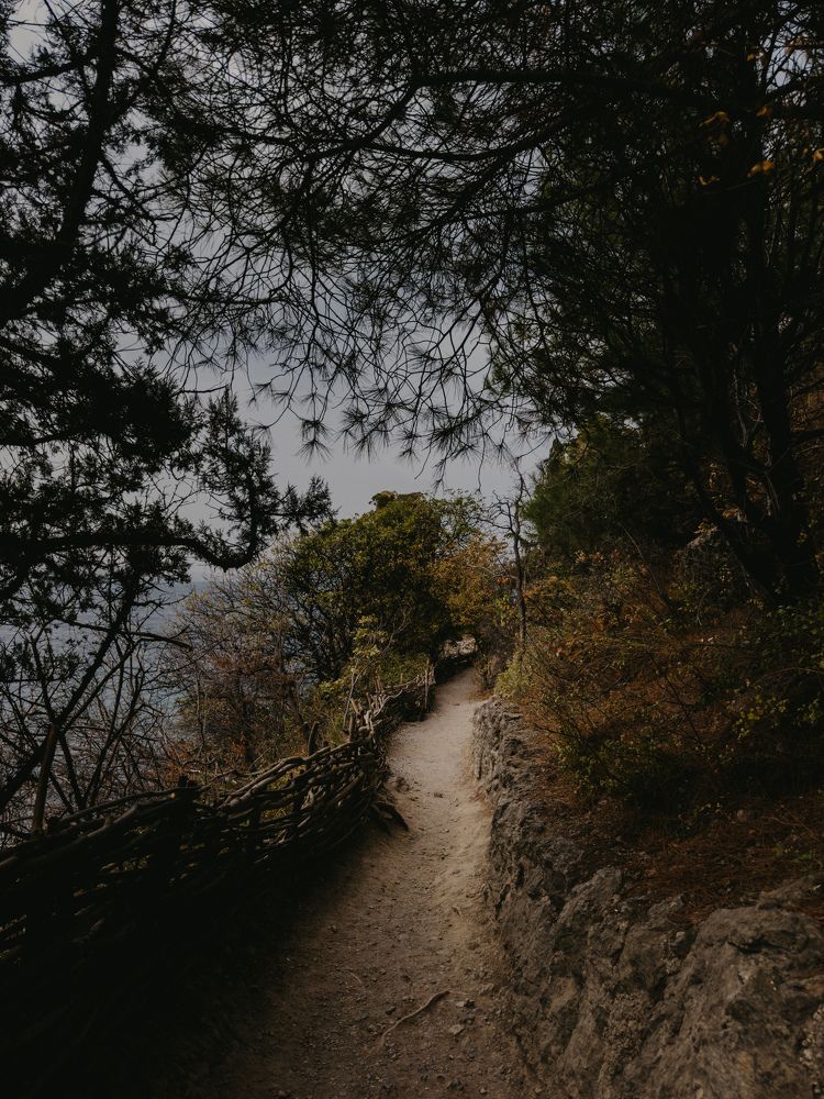 Фотография автора Oksana Yurasova