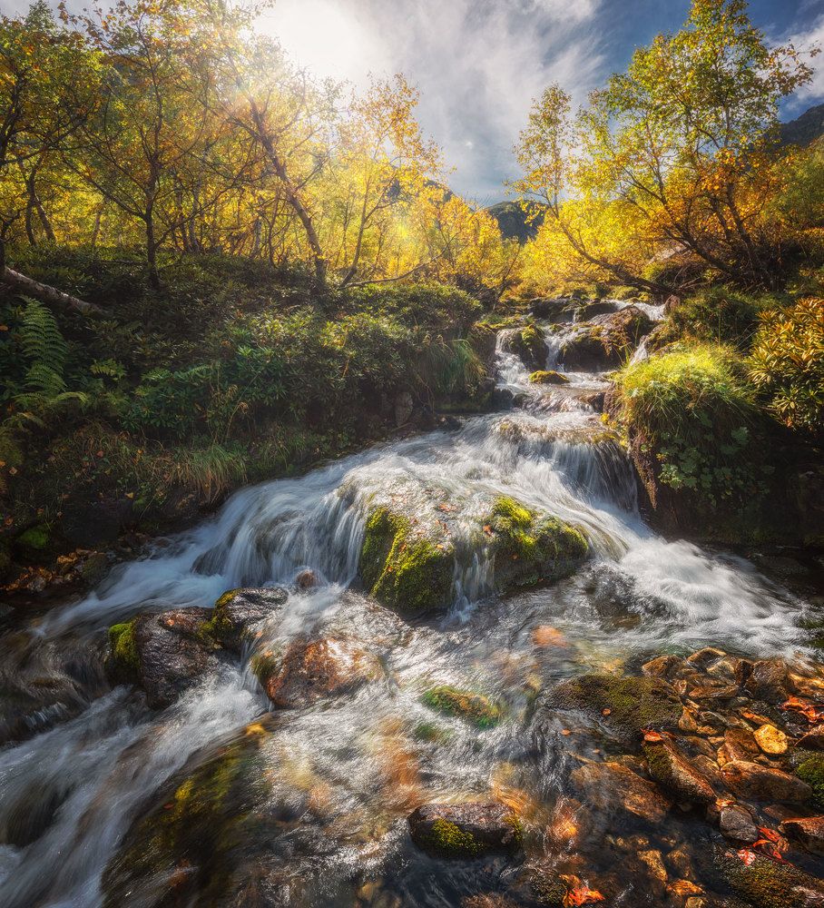 Photograph by Кахарова Наргиза