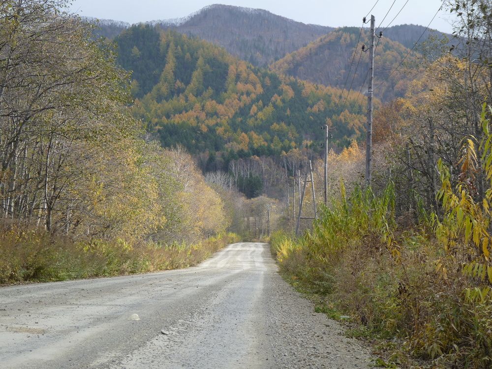 Photo #11101923