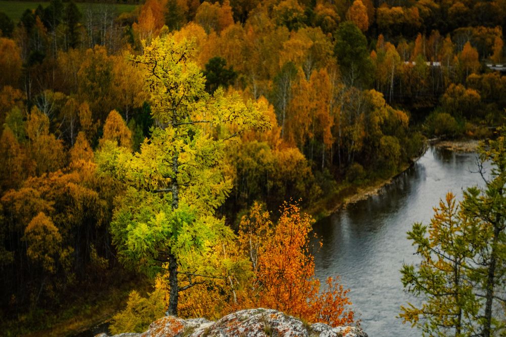 Photograph by Kostantin Belonogov