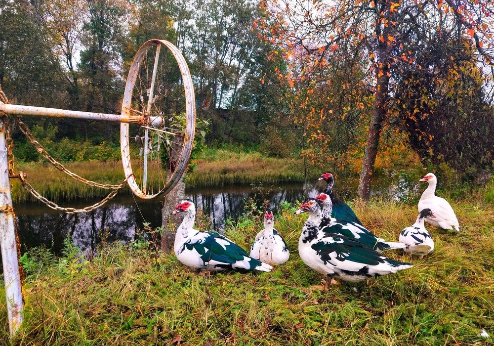 Photograph by Людмила Ваганова