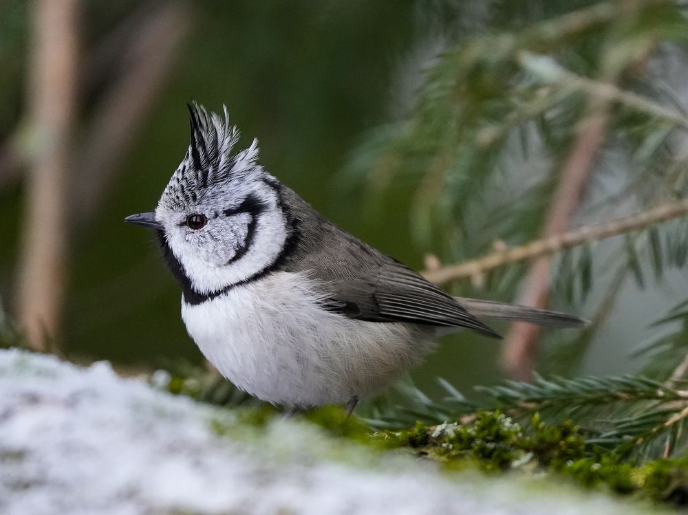 Photograph by Ольга Шугалевская