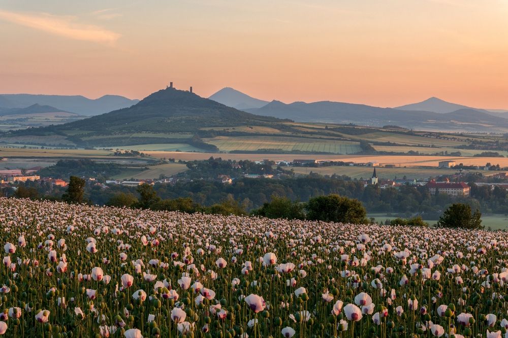Photograph by Jiří Hakauf