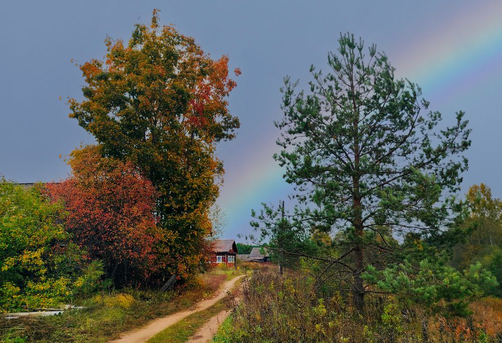 Photograph by Людмила Ваганова