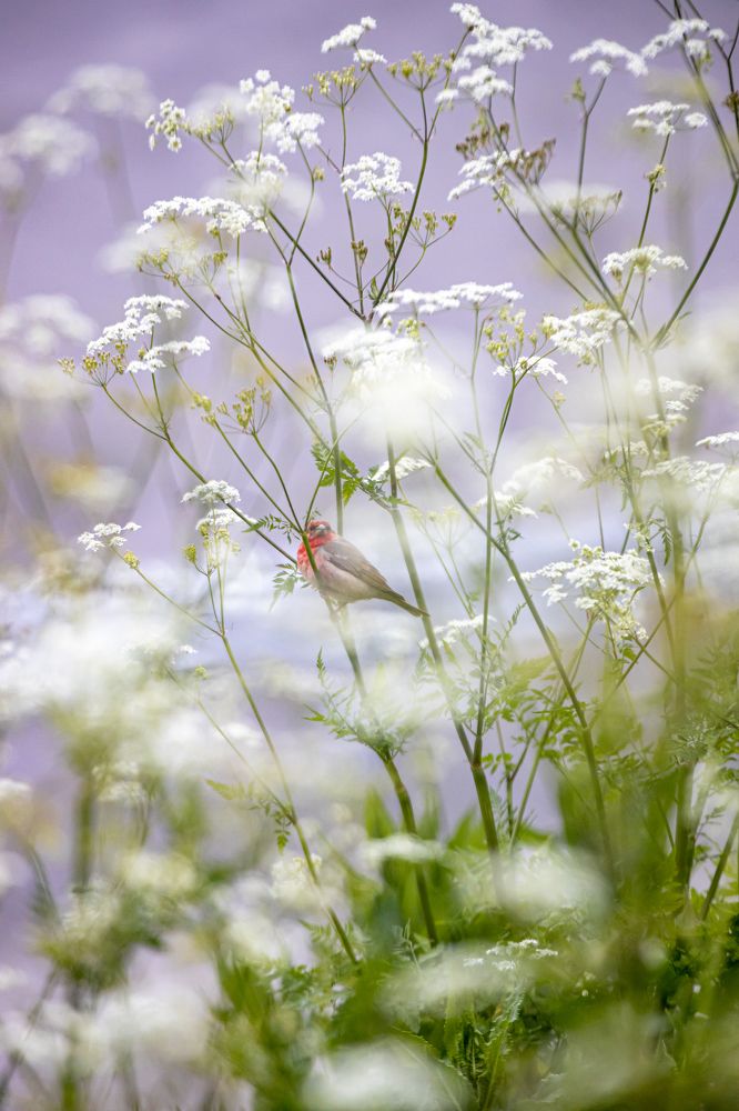 Photograph by Юлия Шурандина