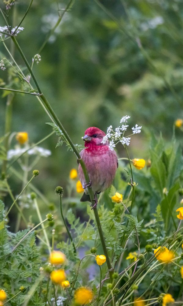 Photograph by Юлия Шурандина
