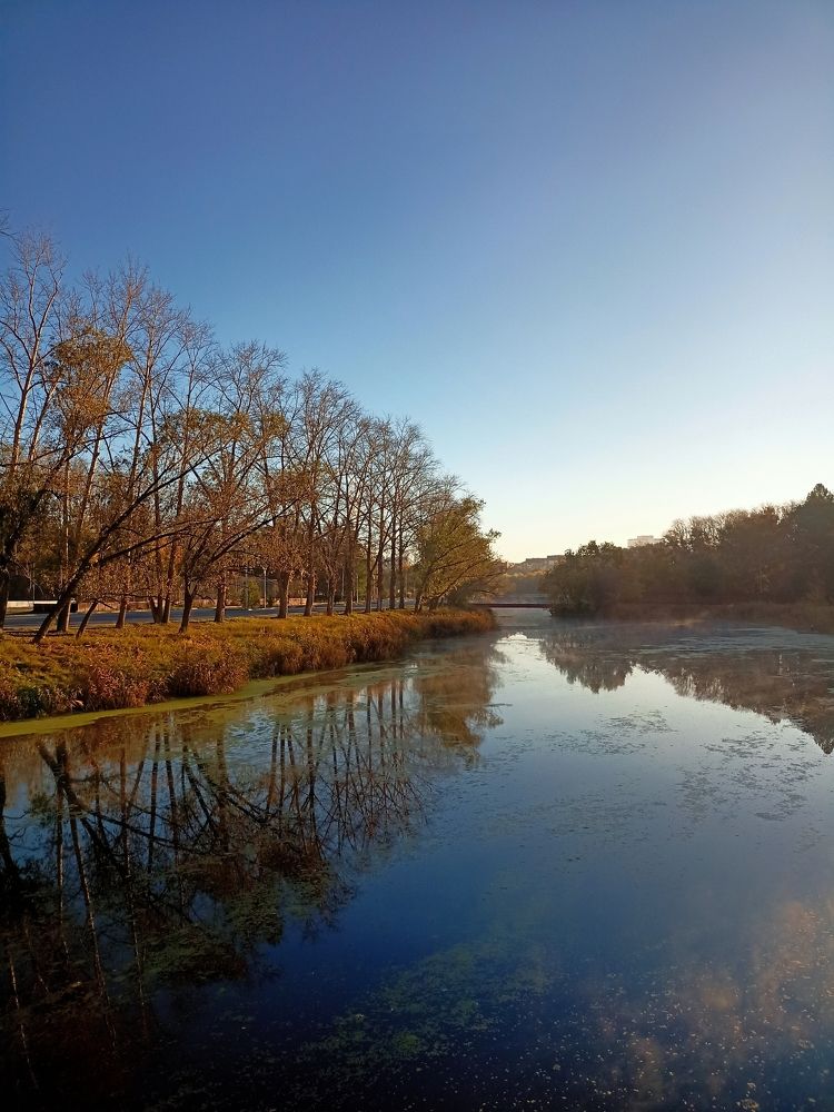 Фотография автора Татьяна Шахова