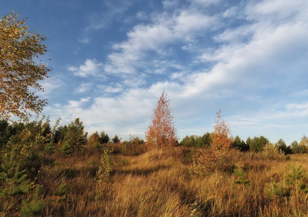 Фотография автора Екатерина Солохина