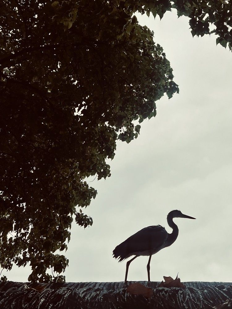 Photograph by Оксана