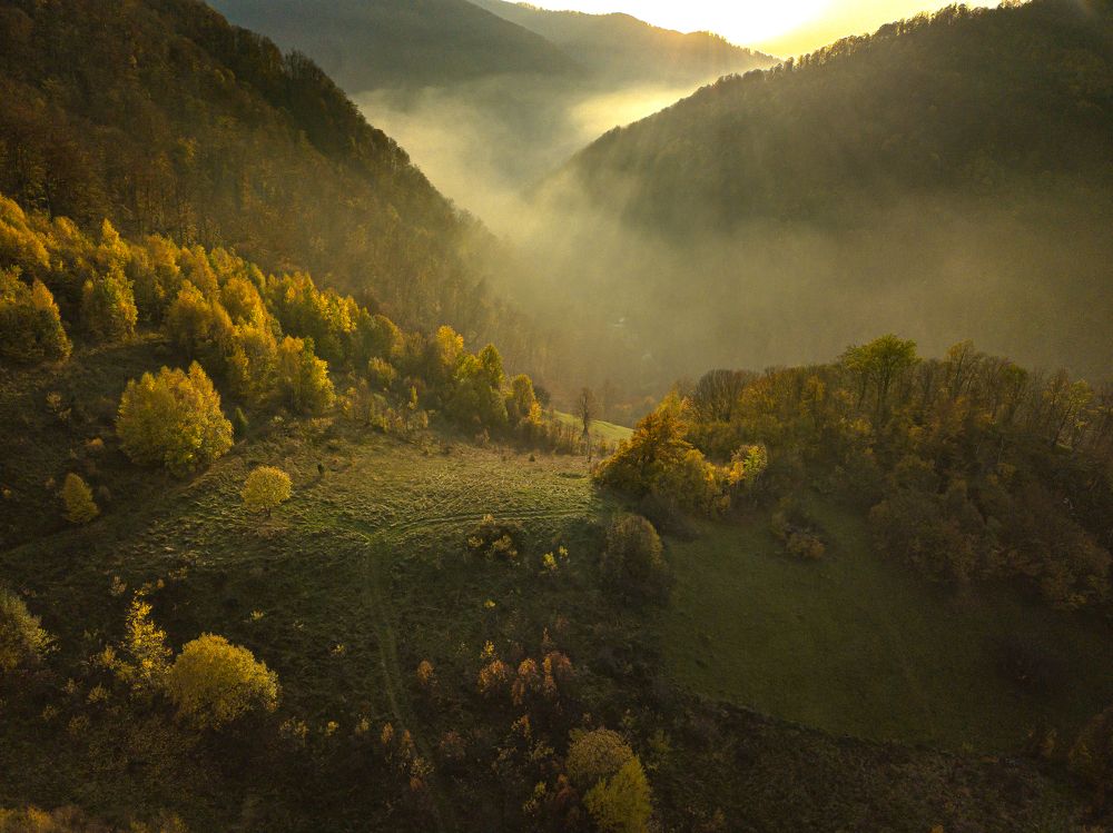 Photograph by George Alexandru Ghiuro