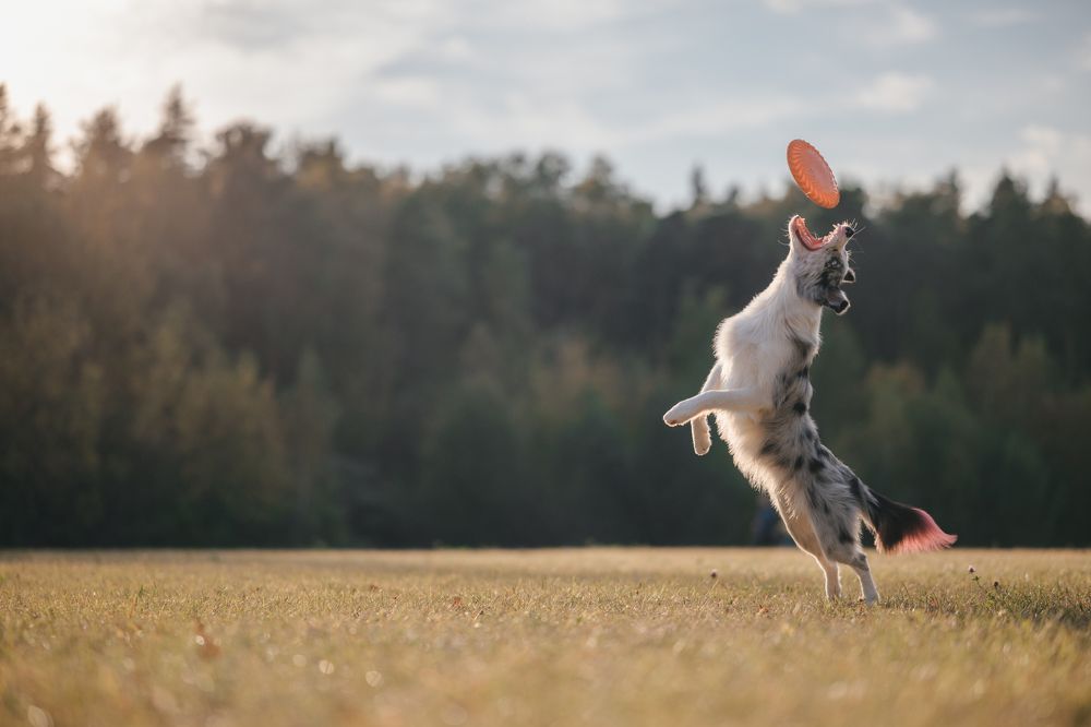 Photograph by Анастасия Жучкова