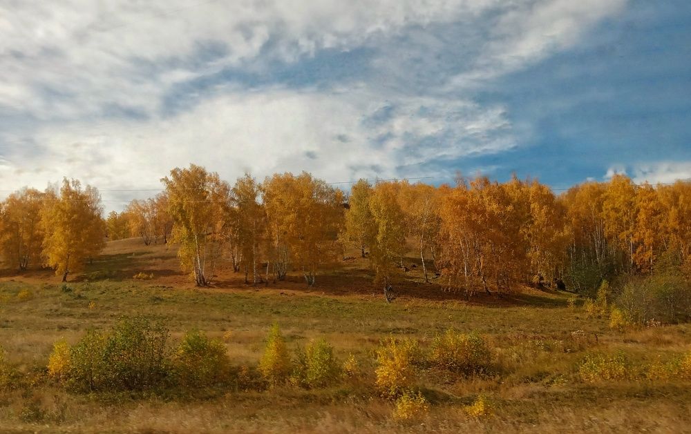 Photograph by Оксана Мельник