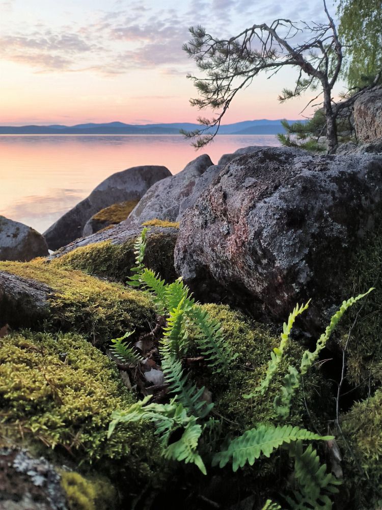 Photograph by Максим Ватрушкин