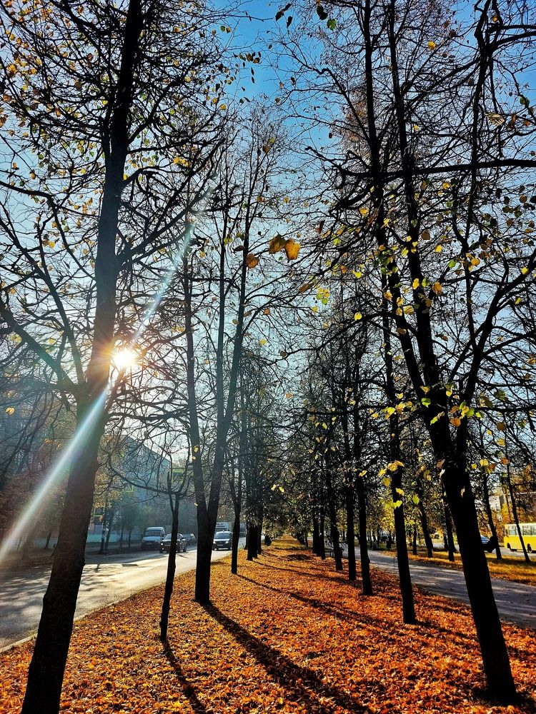 Photograph by Ксения Цветкова