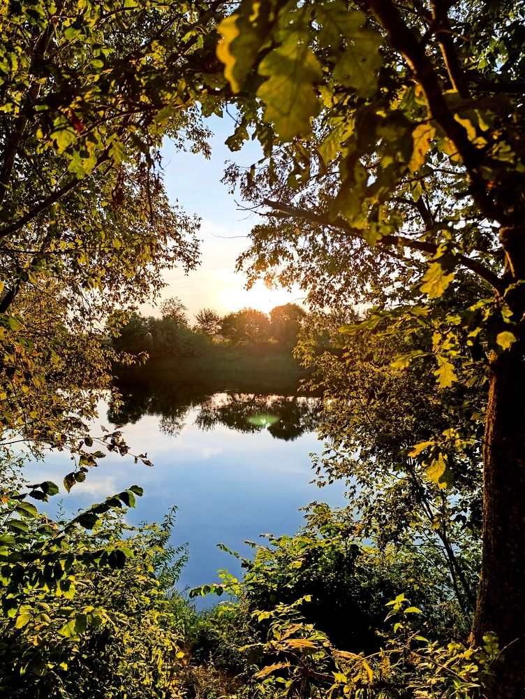 Photograph by Светлана Таркан