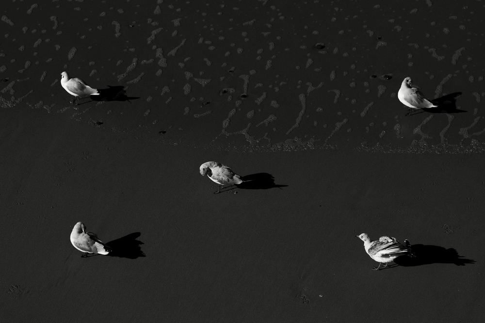 Photograph by Медведев Антон