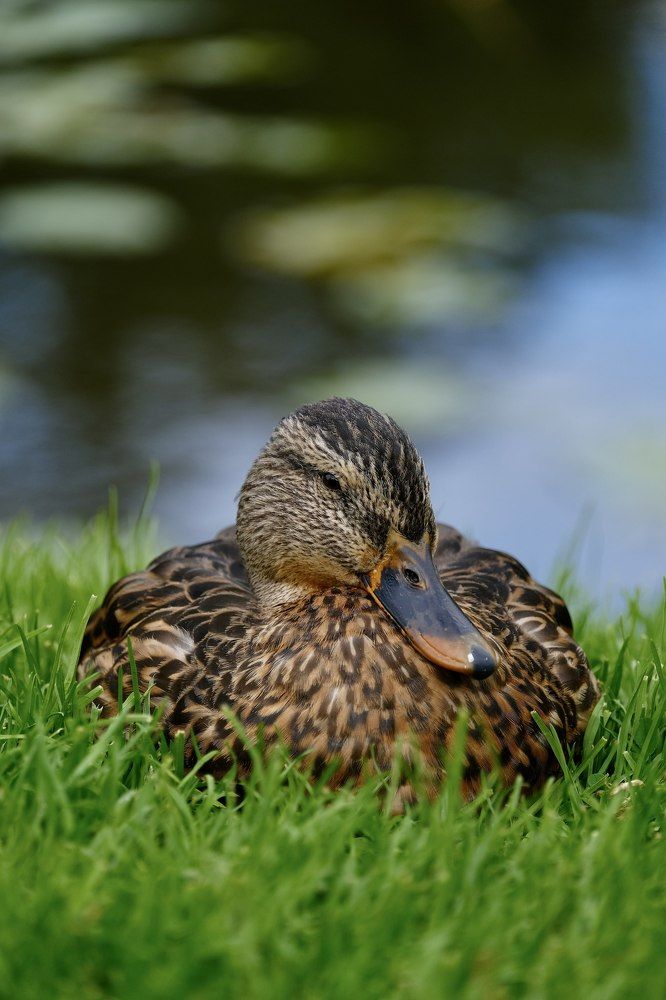 Photograph by Медведев Антон