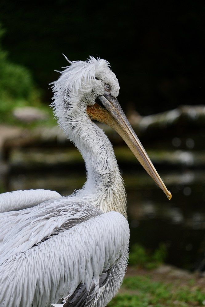 Photograph by Медведев Антон