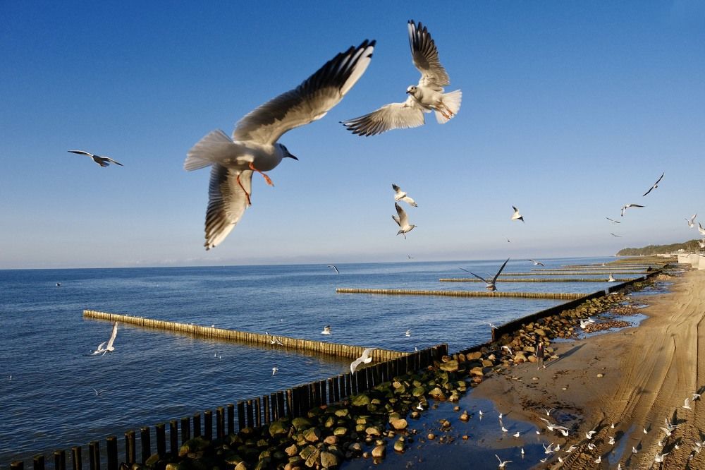 Photograph by Медведев Антон