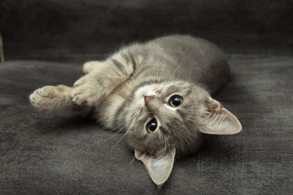 Photograph by Сергей Алексеев