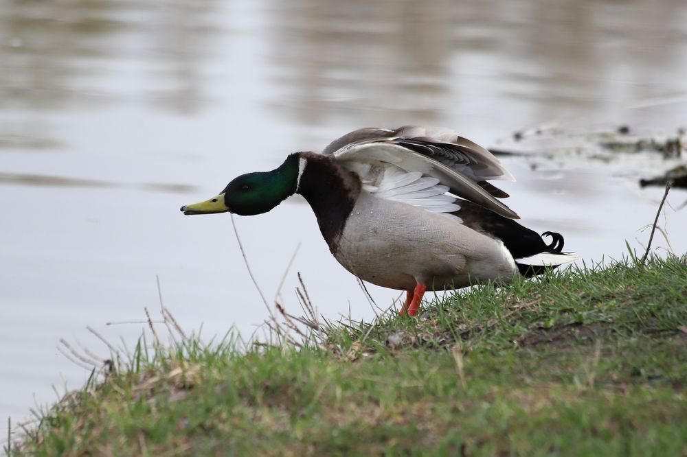 Photograph by DUBINA LEONID