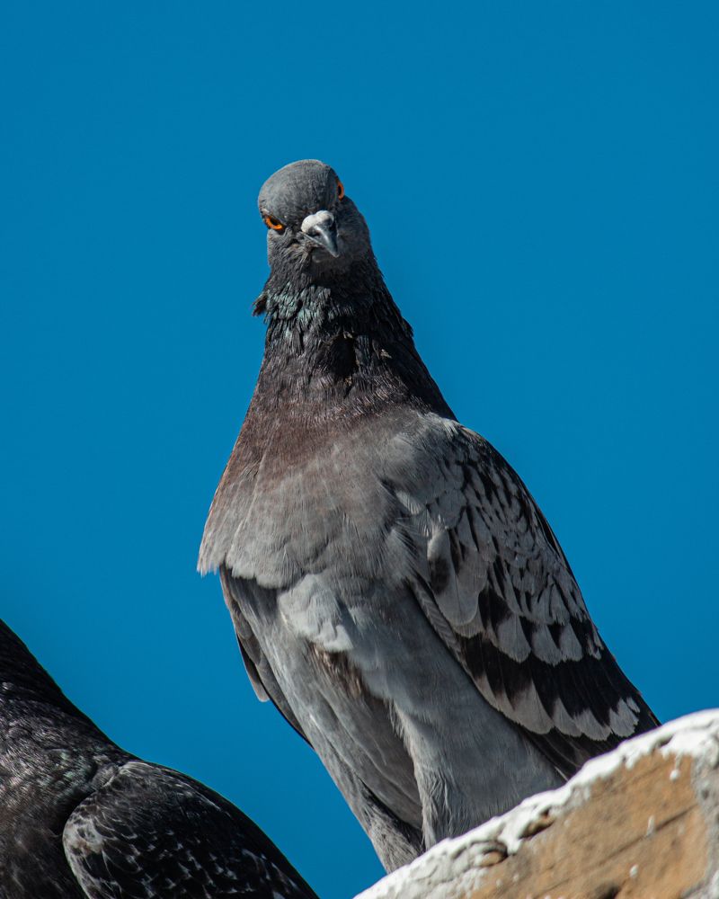 Photograph by Mikhail