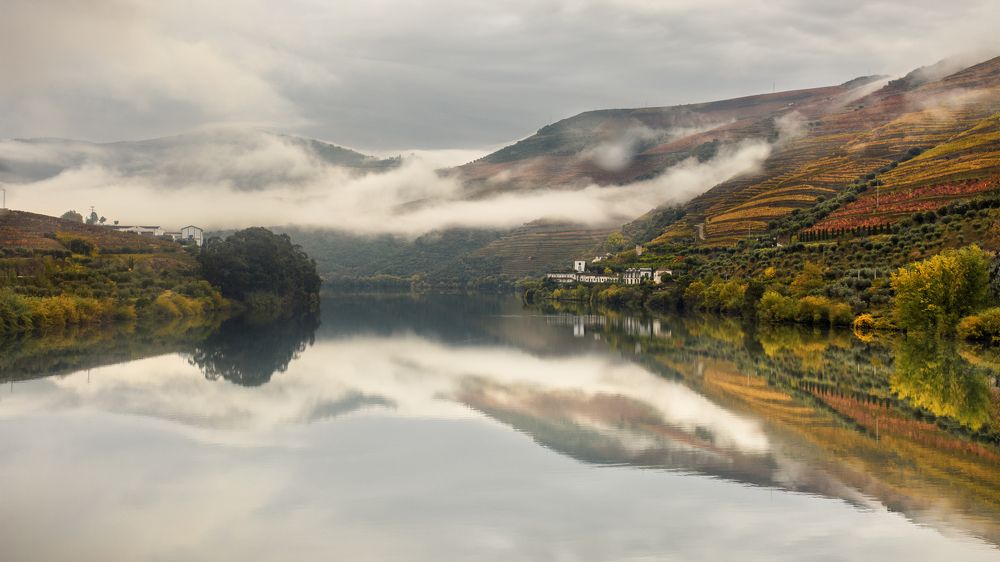 Photograph by Валерия Трейтяк