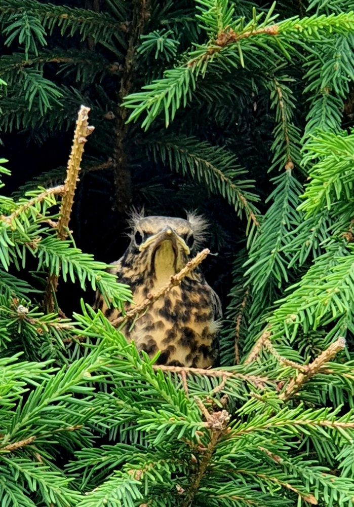 Photograph by Виктория Образцова