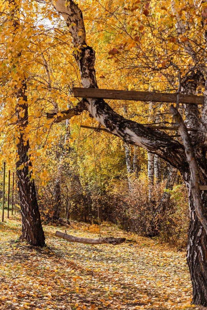 Photograph by Наталья Алина