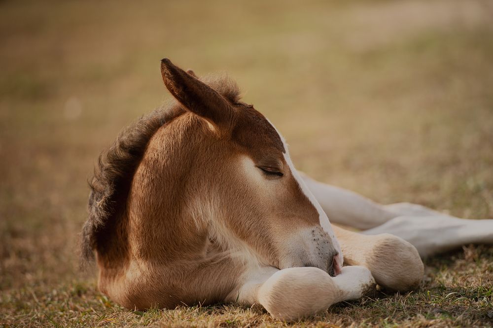 Фотография автора Наталья Шишова