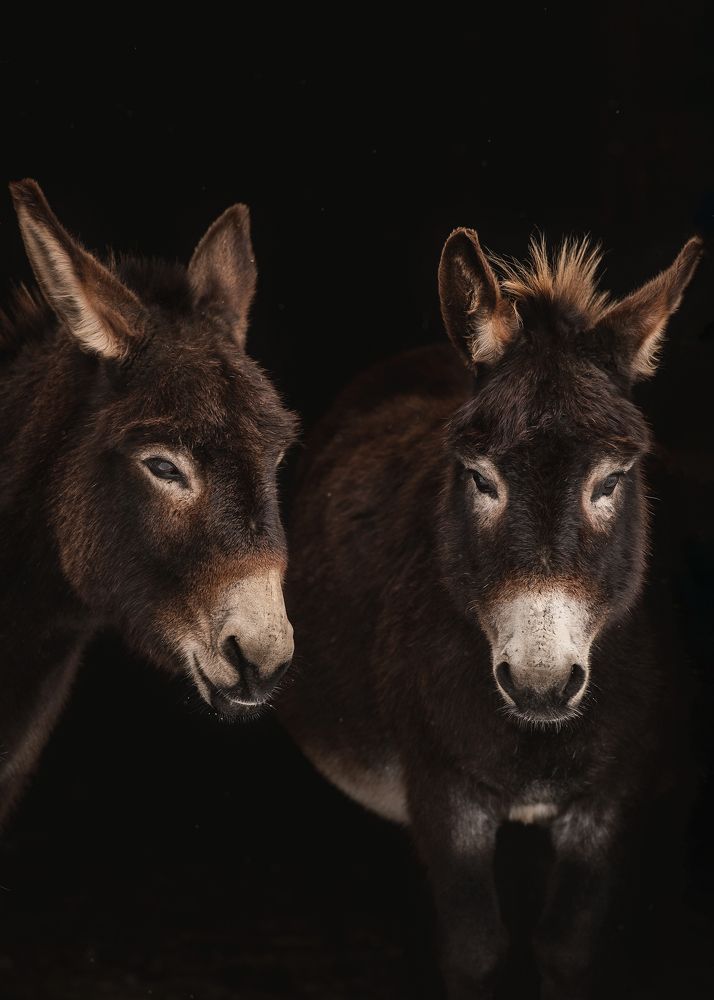 Фотография автора Наталья Шишова