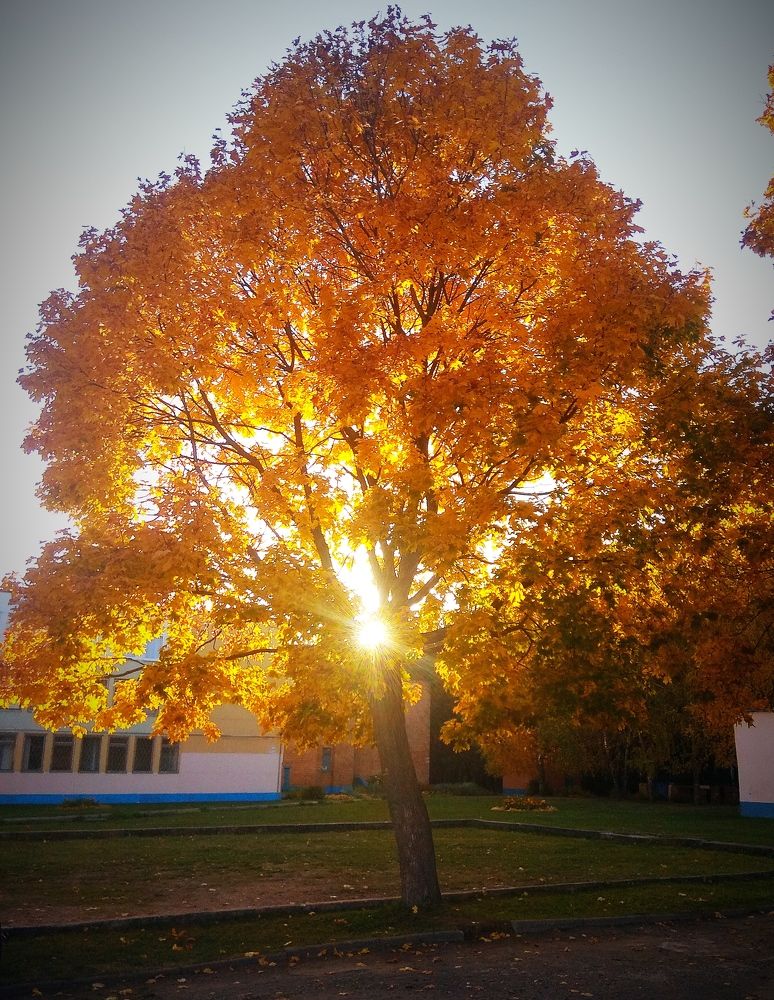 Photograph by Светлана Таркан