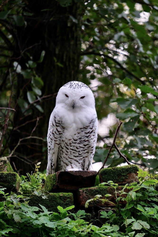 Photograph by Медведев Антон