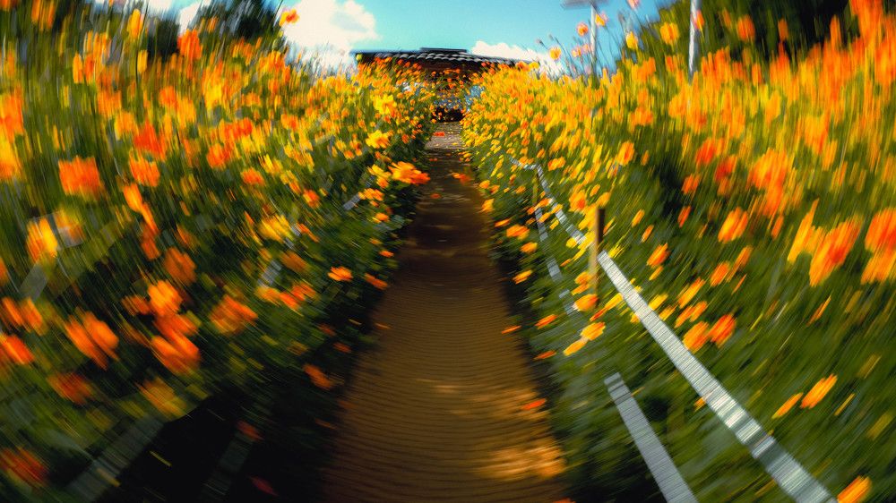 "Butterflies in my stomach"