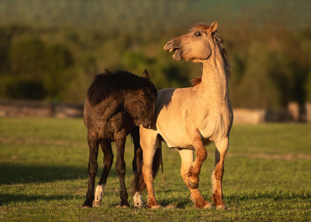 Фотография автора Наталья Шишова