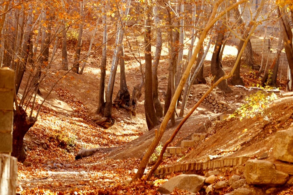 Photograph by Babak Akvan