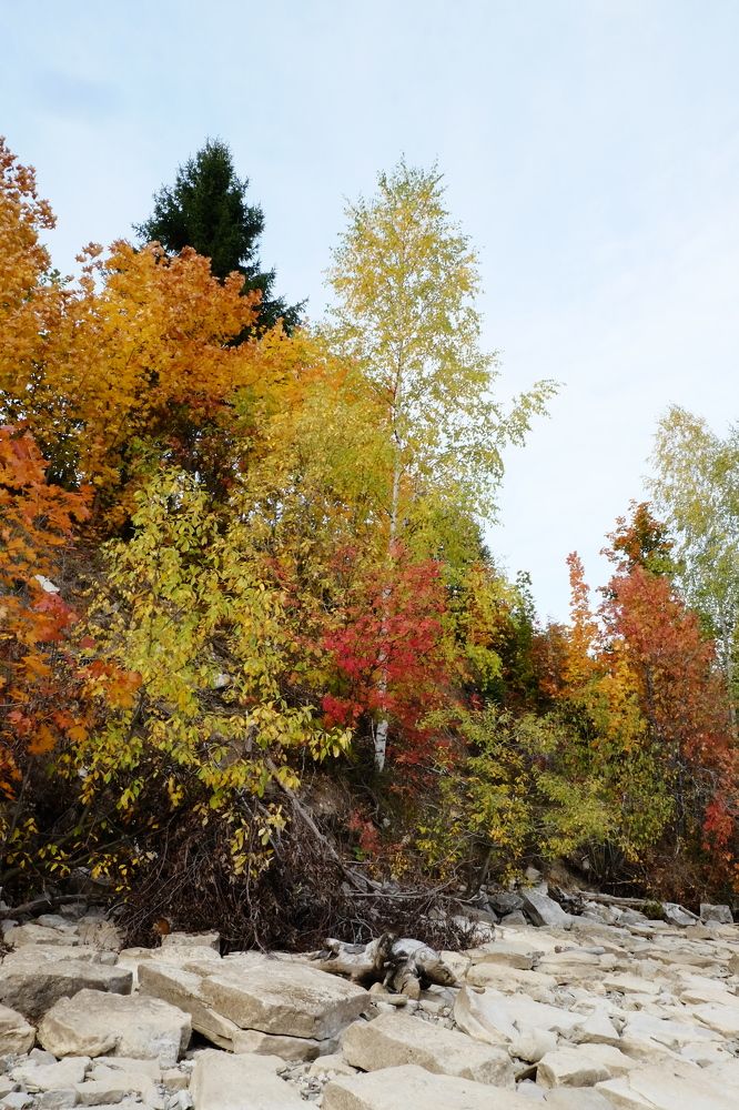 Photograph by Екатерина Хозяшева